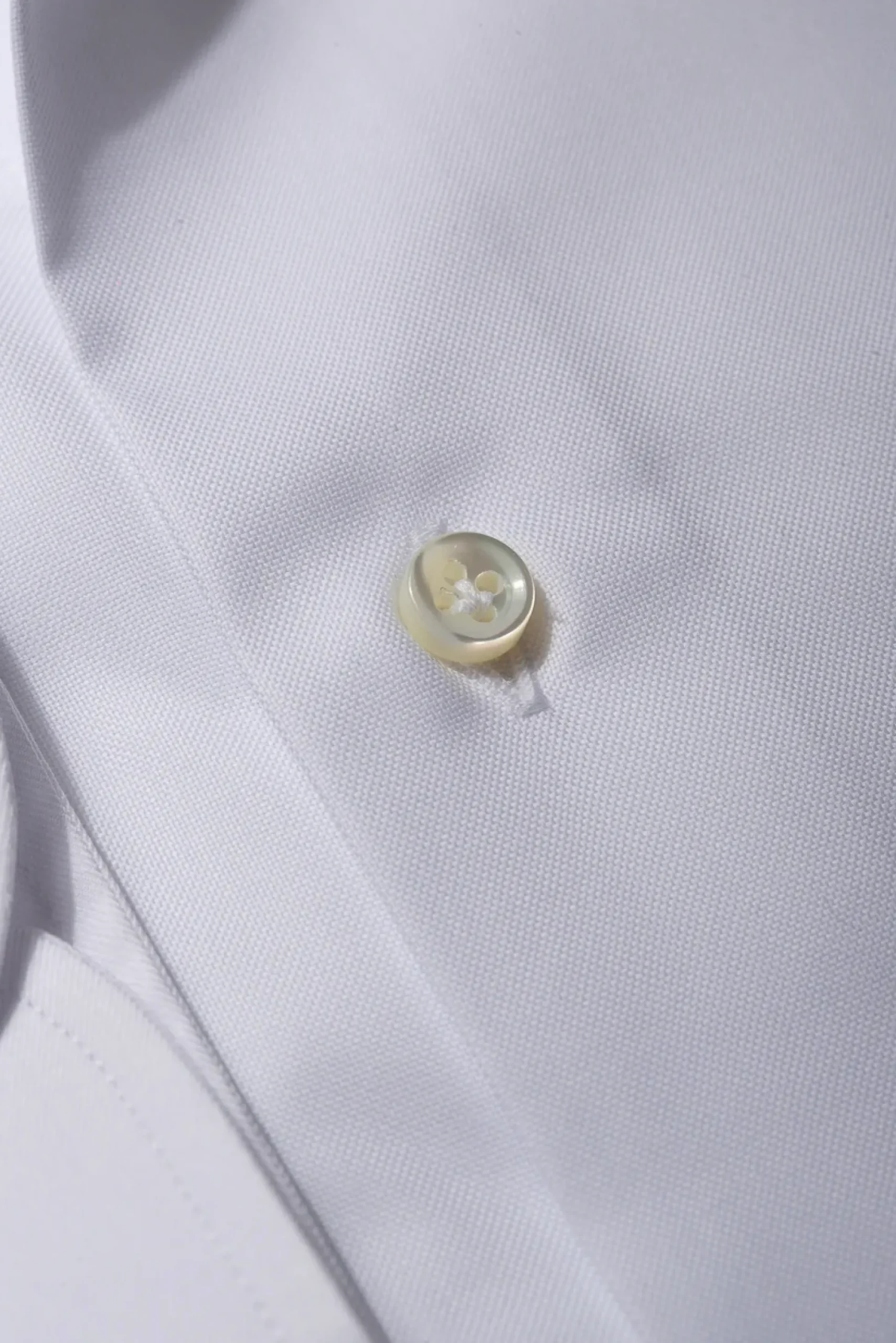Button Down White Shirt "Sartoriale Collection"- Made In Italy|Pini Parma Outlet